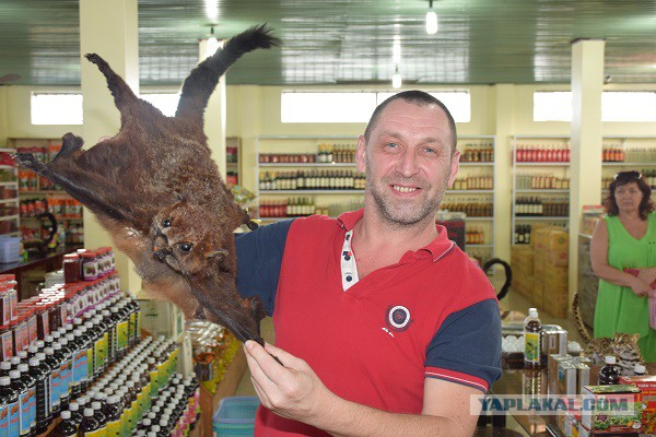 Немного Вьетнама