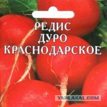 Подборка картинок ни о чём