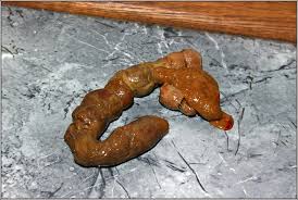 Как я побывал в США. Часть пятая. Заключительная