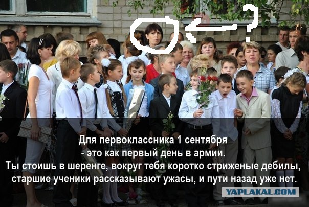 Смешные картинки с надписями