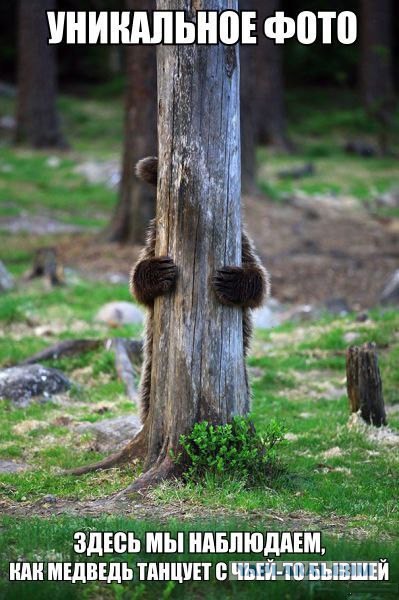 Интересные и веселые картинки