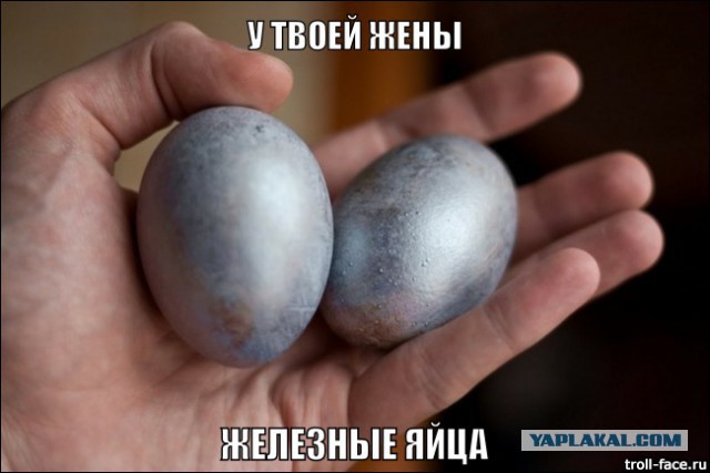 Самка и пилотаж