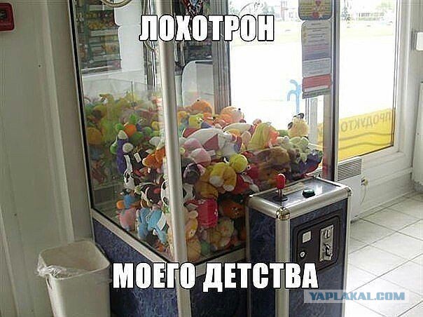 Настоящий фотограф всегда найдёт удачный ракурс!