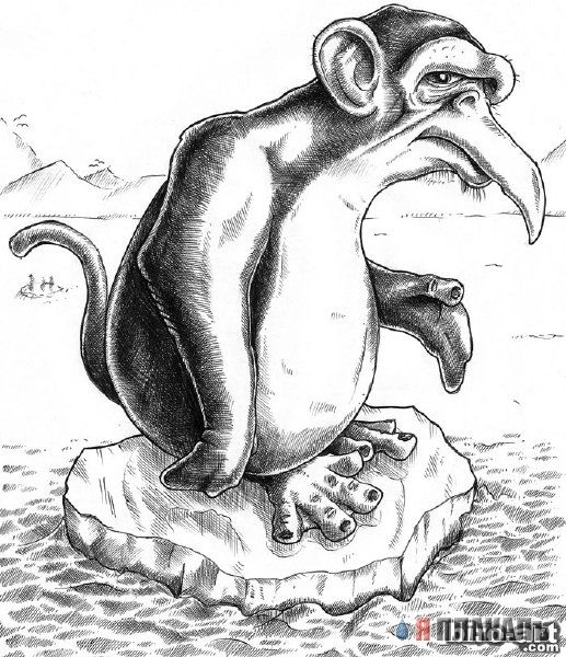 Рисунки. Карандаш