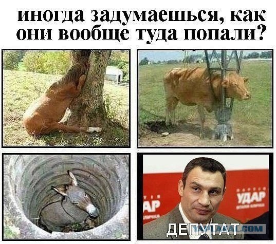 Два десятка картинок для позитивного настроения!