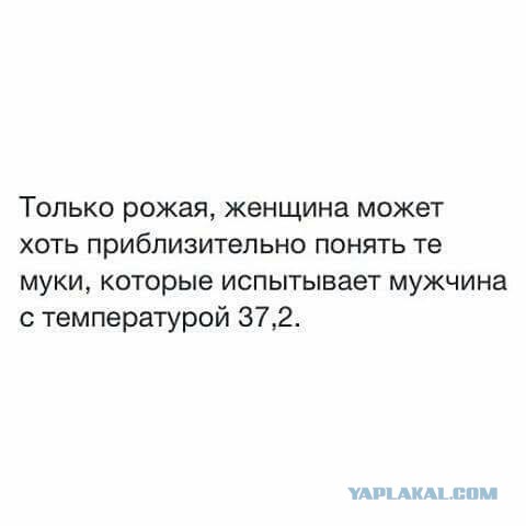 буквы
