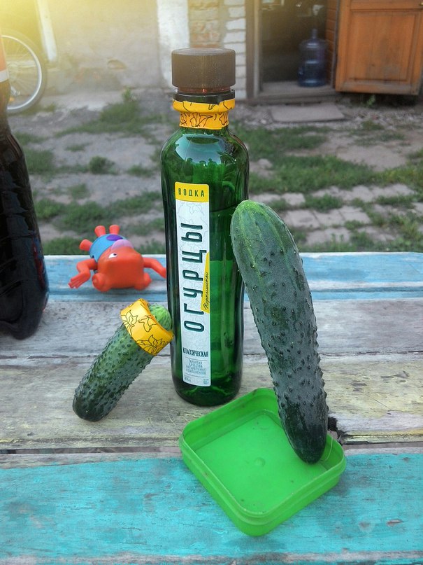 Что можно и чего низзя