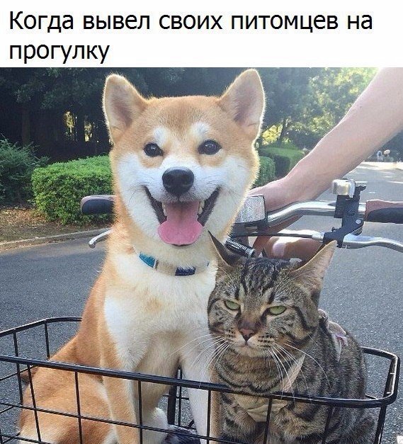 Картинки. Интересные, старые и не очень.