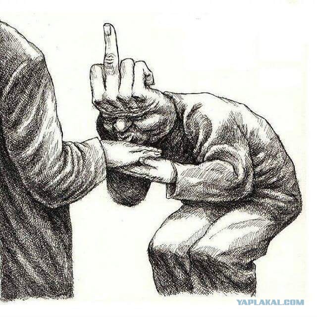 Верхи не могут, низы не хотят. К чему идем?