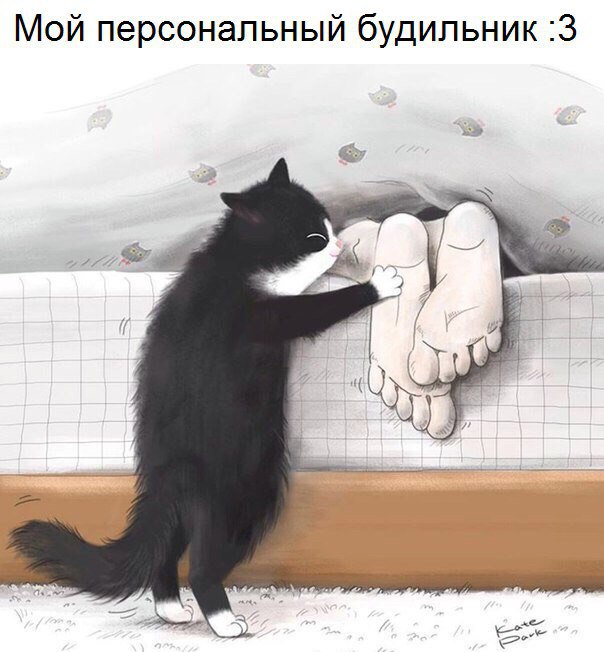 Набористый набор картинок