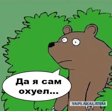 Рассказал, как на мишу охотился