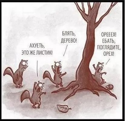 Размышления о..."содержанках"
