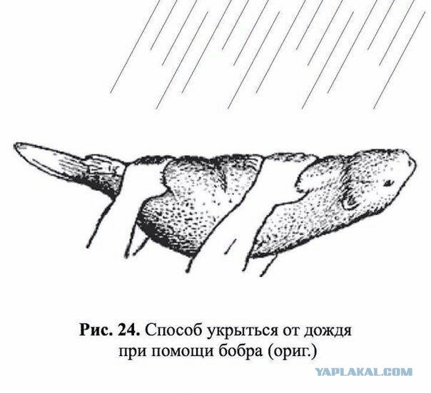 Немного деграданса - 7