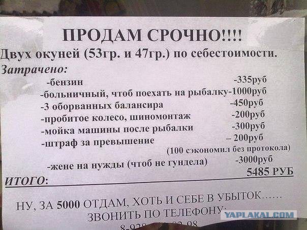 30 объявлений, мимо которых вы просто не сможете пройти