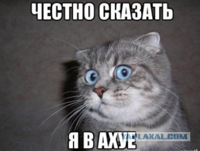 Как я встретила свою любовь в такси