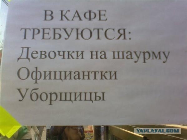 "Коня на скаку". Официантка четырьмя ударами кулаком насмерть забила клиента подмосковного кафе