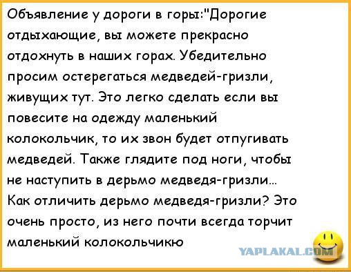 Что делать, если вы встретили медведя. Инструкция в дальневосточном отеле