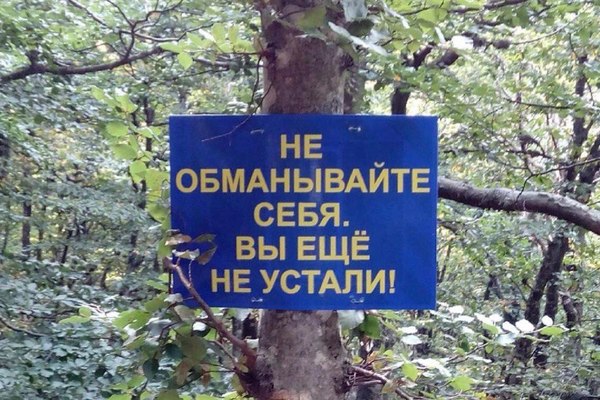 Надписи от тех, кто точно знает, как приковать наше внимание