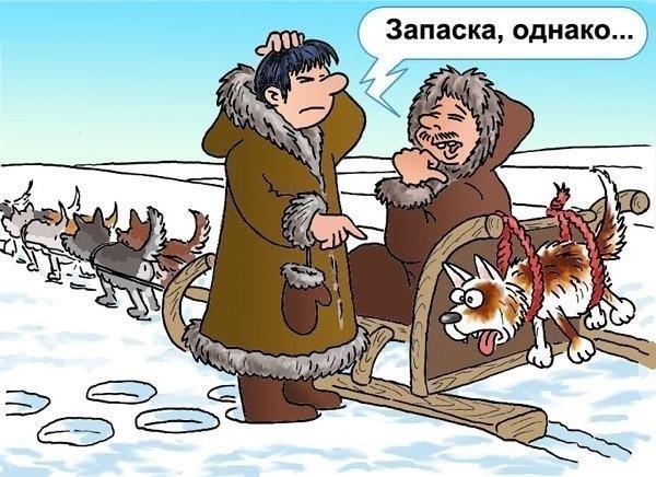 Немного весёлых карикатур