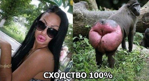 Чудики из социальных сетей