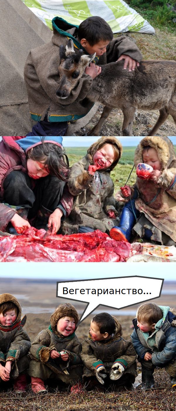 Подборка картинок. Забавных, прикольных - разных!