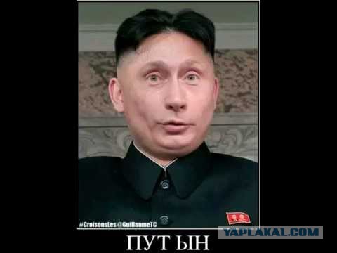Школьники в регионах РФ запустили флешмоб с надписью «Путин — вор»
