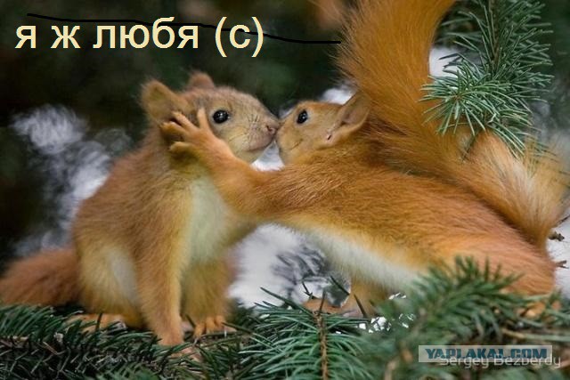 Если ты женат на б**ди!