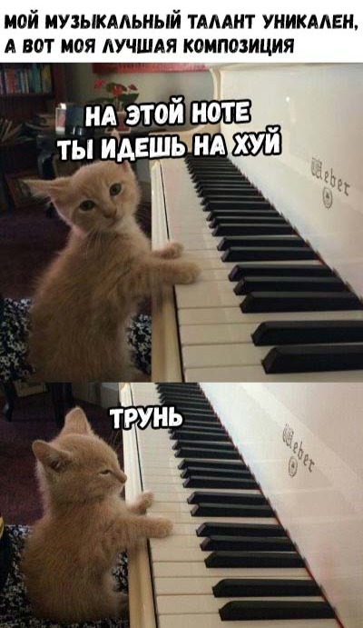 Нестандартный юмор