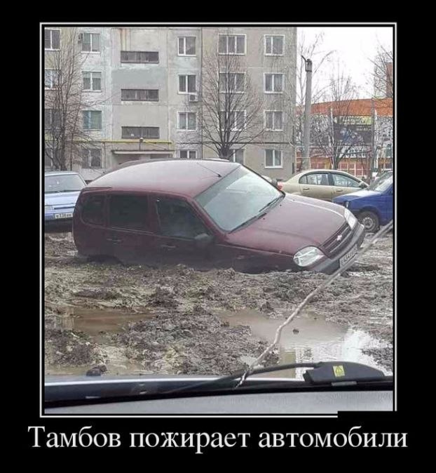 Чуток картинок 21.04.20