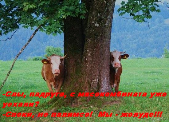 Как ты думаешь, измена скора отпустит?