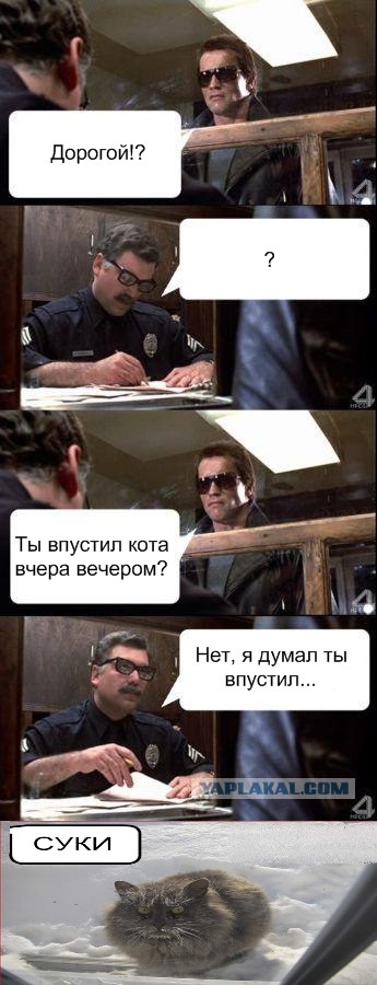 О чём базар?