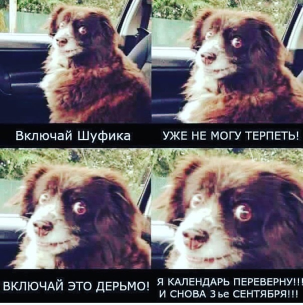 О жадных мужчинах. Или умных? (Немного мата)