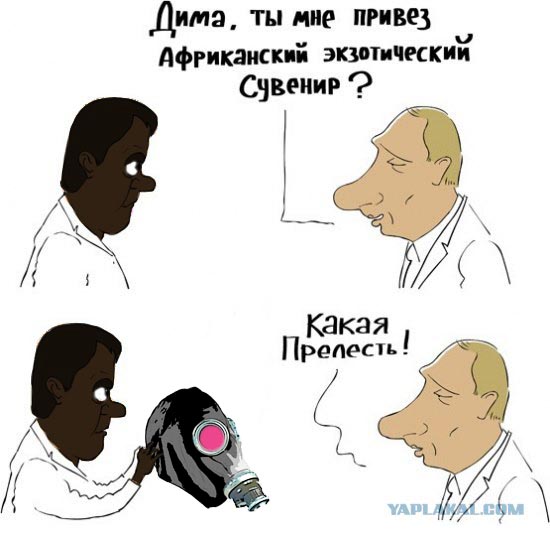 Экзотический сувенир