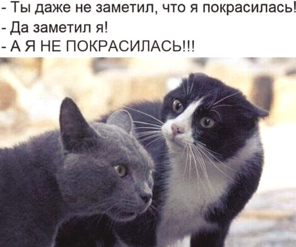 Отовсюду обо всём 11.10.20