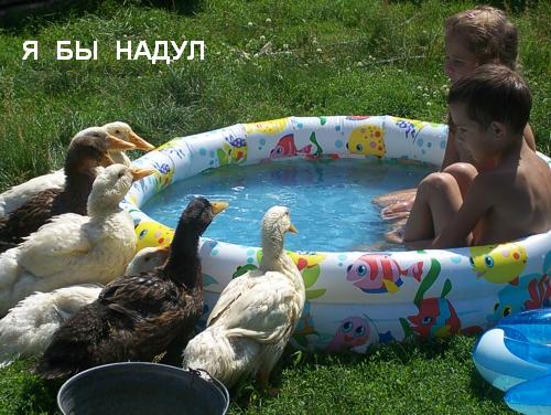 Фотожаба: А ты?