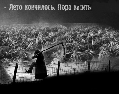 Битва фотожаберов: Лето кончилось