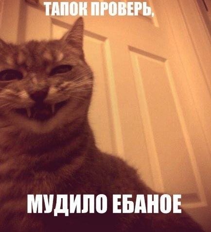 Они осознали свою вину