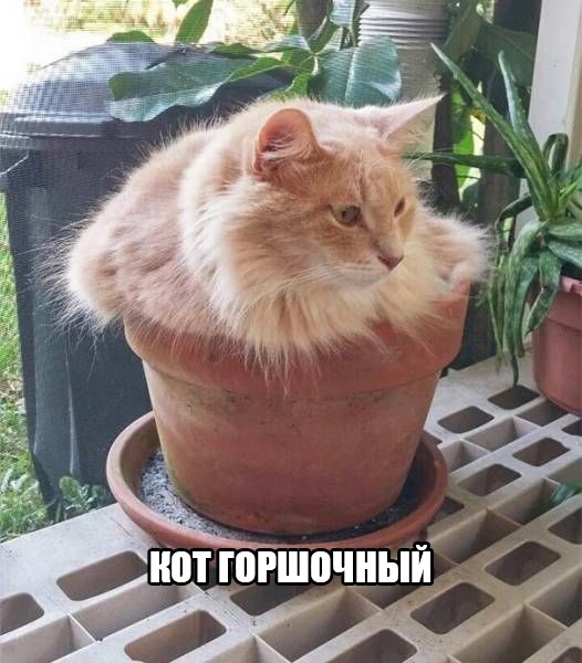 Так себе картинки 07.05.21