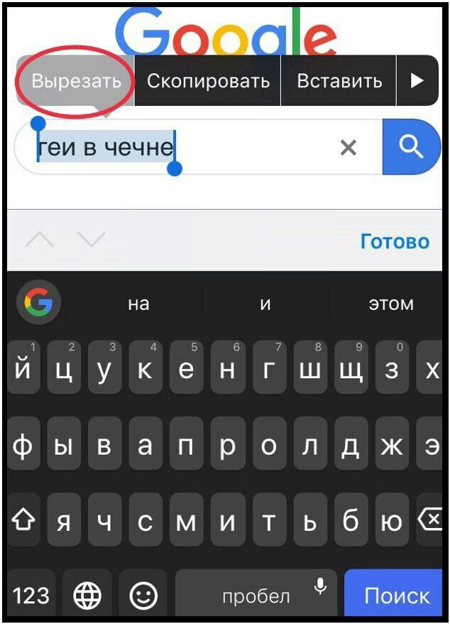 Представители ЛГБТ-сообщества возмутились рекламой вологодского пломбира