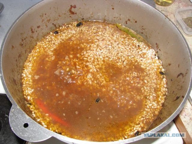 ПЛОВ