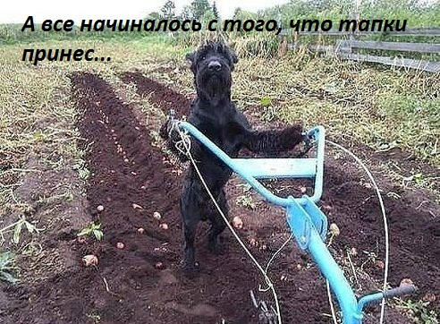 Просто картинки 05.07.2021