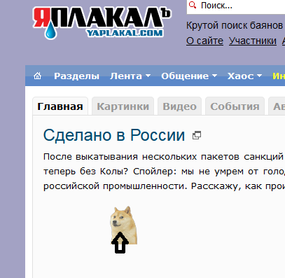 Как поймать собаку
