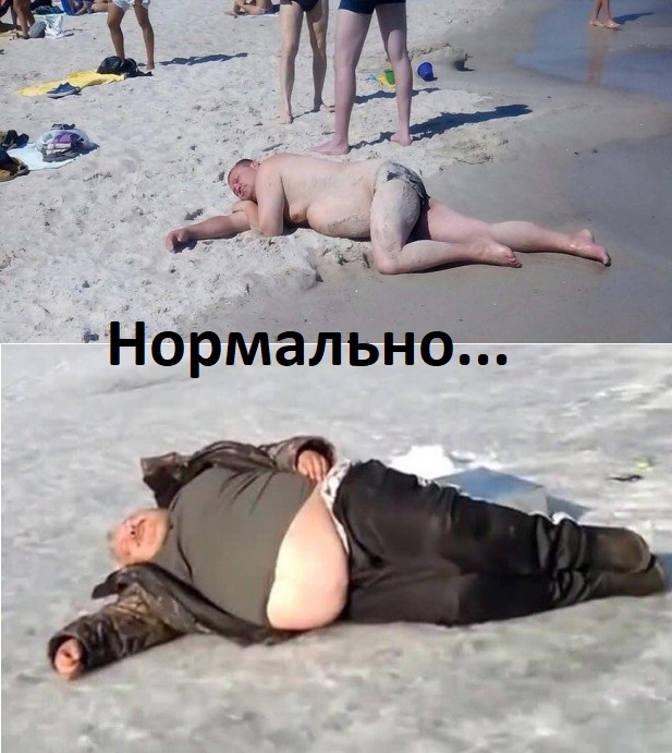 Скотсети и прочие интернеты 08.04.2022
