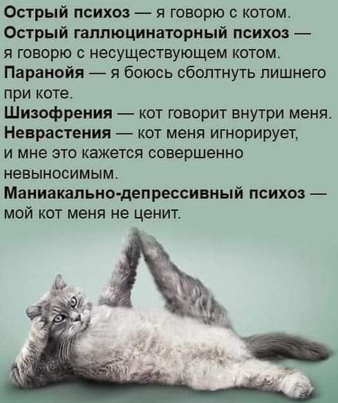 50 оттенков серого. Vol.9 Или самосвал баянов