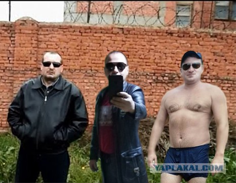 Пожабить не желаете?