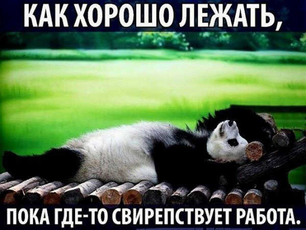 Прикольные и просто красивые картинки 07.07.2022