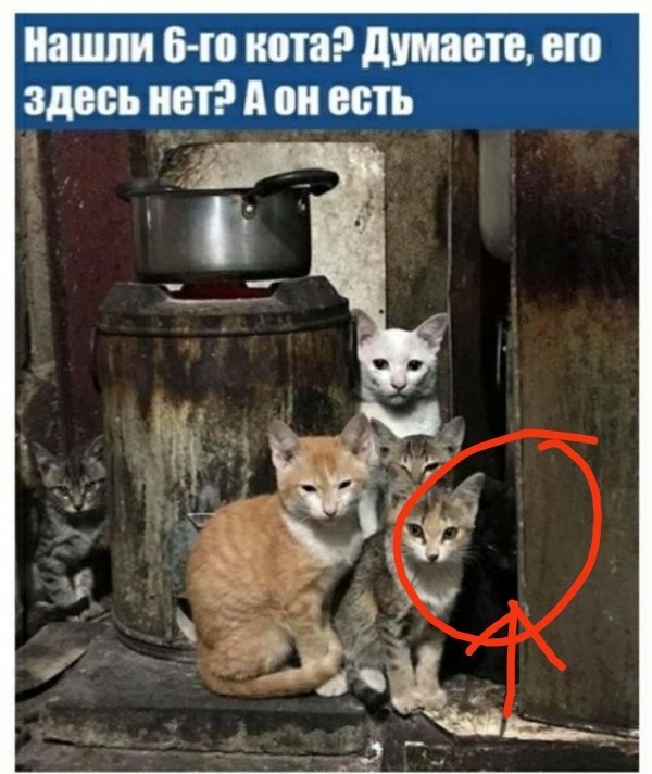 Прикольные и просто красивые картинки 11.11.2022