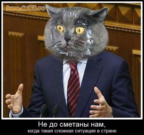 Новость дня