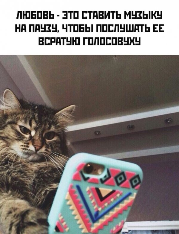 Картинки с надписями 28.01.23