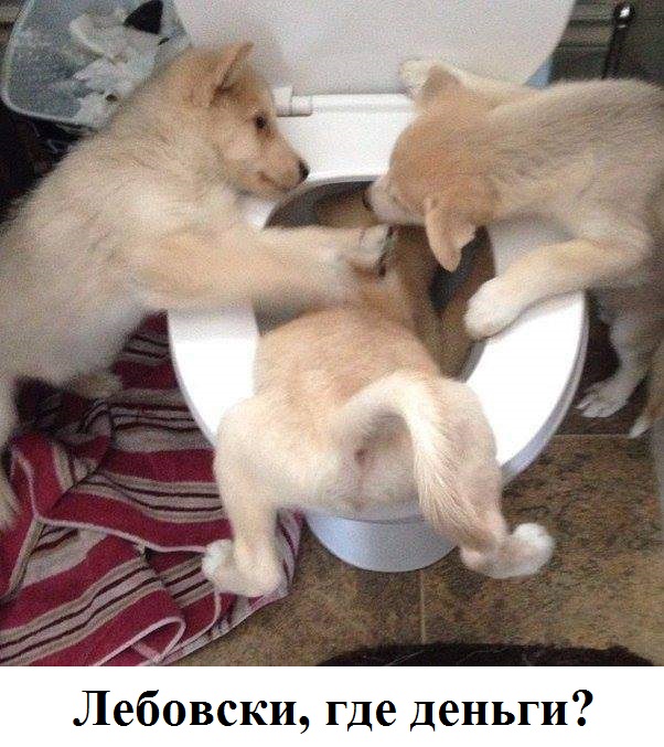 Картинки с надписями 14 03 22